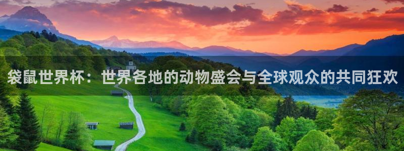 袋鼠世界杯：世界各地的动物盛会与全球观众的共同狂欢